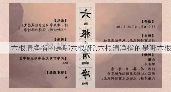 六根清净指的是哪六根呀?,六根清净指的是哪六根