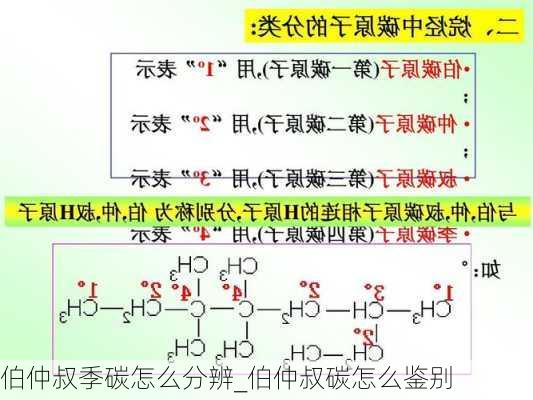 伯仲叔季碳怎么分辨_伯仲叔碳怎么鉴别