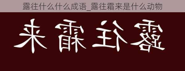 露往什么什么成语_露往霜来是什么动物