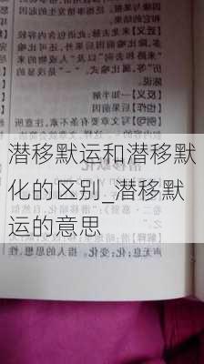 潜移默运和潜移默化的区别_潜移默运的意思