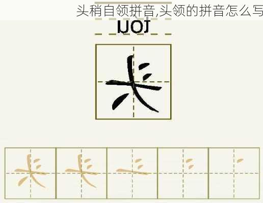 头稍自领拼音,头领的拼音怎么写