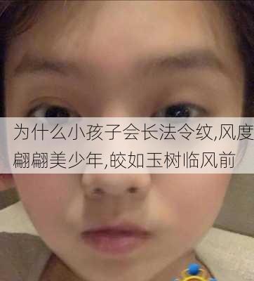 为什么小孩子会长法令纹,风度翩翩美少年,皎如玉树临风前