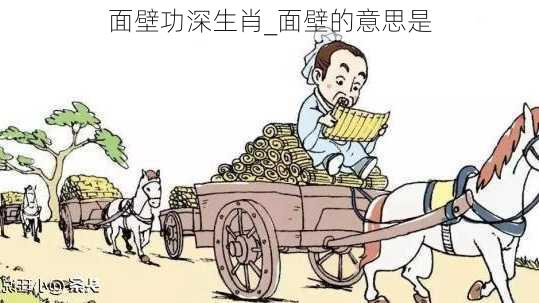 面壁功深生肖_面壁的意思是