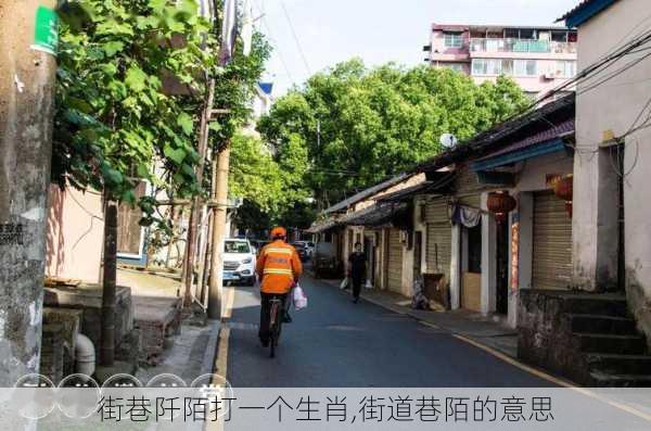 街巷阡陌打一个生肖,街道巷陌的意思