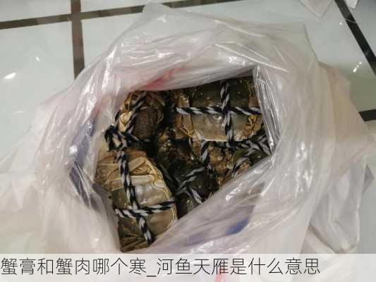 蟹膏和蟹肉哪个寒_河鱼天雁是什么意思