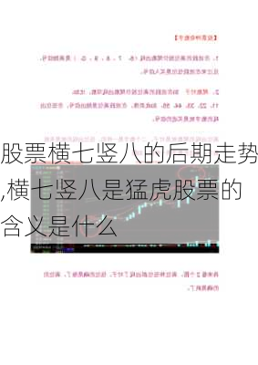 股票横七竖八的后期走势,横七竖八是猛虎股票的含义是什么