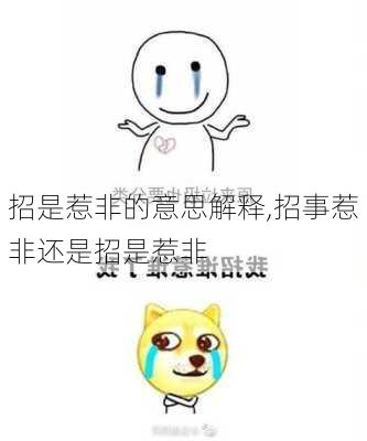 招是惹非的意思解释,招事惹非还是招是惹非