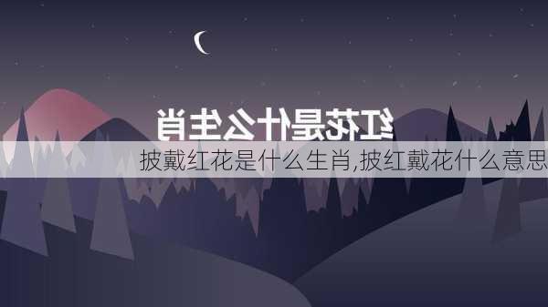 披戴红花是什么生肖,披红戴花什么意思