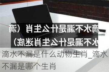 滴水不漏是什么动物生肖_滴水不漏是哪个生肖