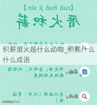 积薪厝火是什么动物_积薪什么什么成语