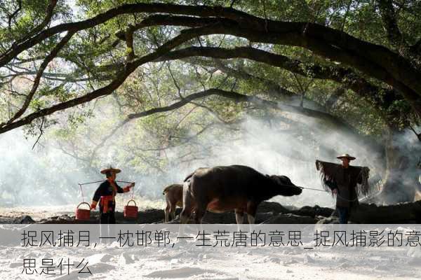 捉风捕月,一枕邯郸,一生荒唐的意思_捉风捕影的意思是什么