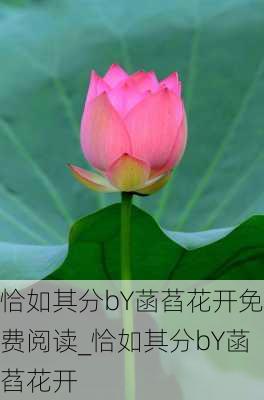 恰如其分bY菡萏花开免费阅读_恰如其分bY菡萏花开