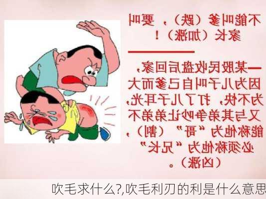 吹毛求什么?,吹毛利刃的利是什么意思