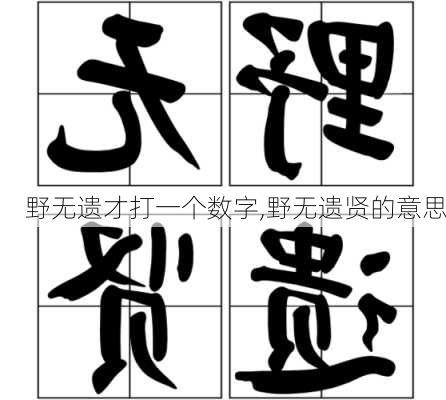 野无遗才打一个数字,野无遗贤的意思