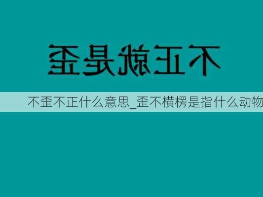 不歪不正什么意思_歪不横楞是指什么动物