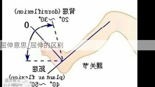 屈伸意思_屈伸的区别