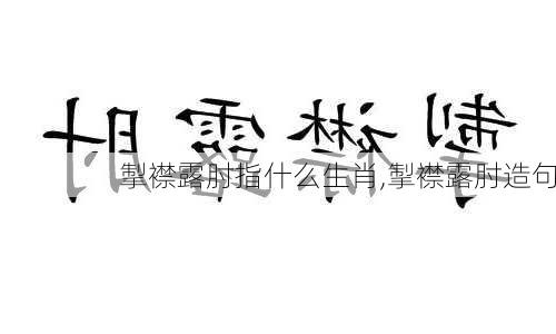 掣襟露肘指什么生肖,掣襟露肘造句