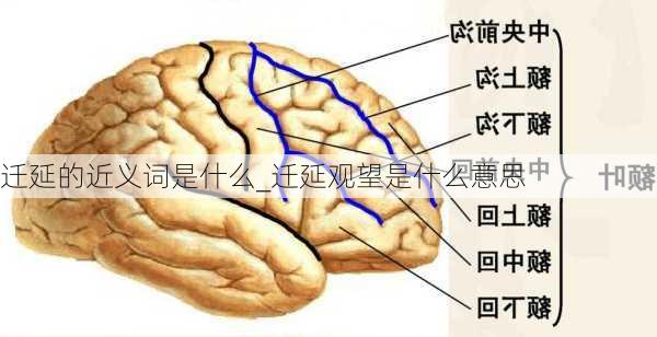 迁延的近义词是什么_迁延观望是什么意思