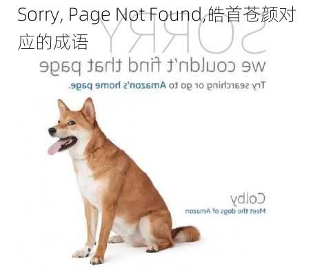 Sorry, Page Not Found���������������������������������������������������������������������������������������������������������������������������������������������������������������������,皓首苍颜对应的成语