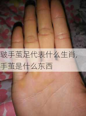 皲手茧足代表什么生肖,手茧是什么东西