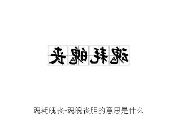 魂耗魄丧-魂魄丧胆的意思是什么